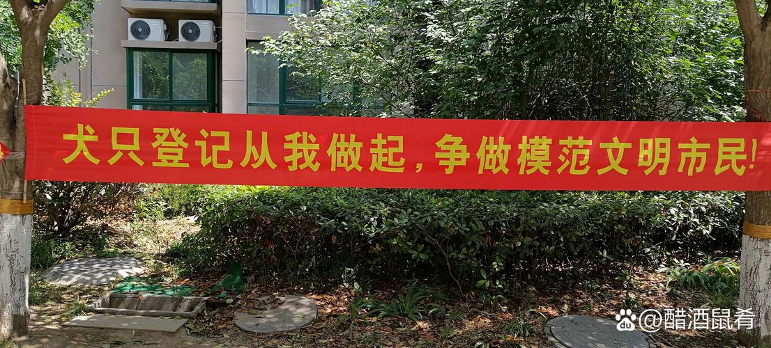 金玉堂药业